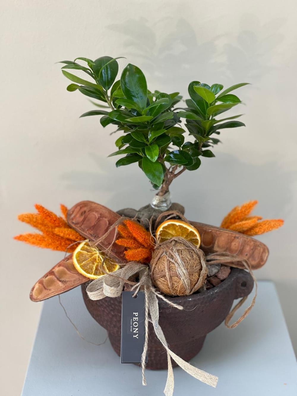 Orange Brown Bonsai Ağacı